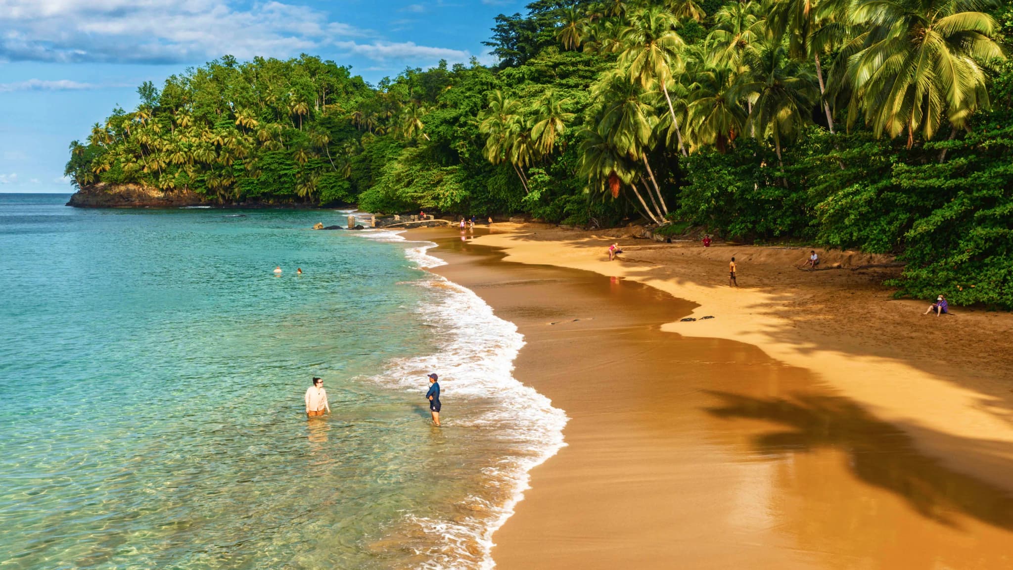 Palm-lined tropical beach with turquoise surf